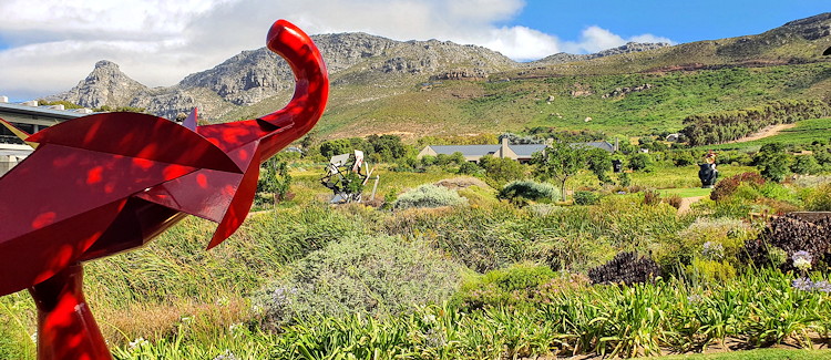 Norval Foundation sculpture garden Cape Town African art contemporary pieces wetland Cape Leopard Toad