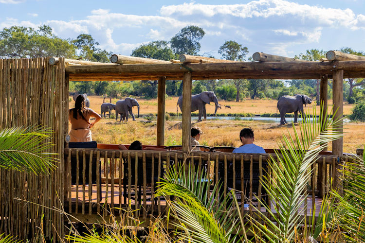Sabi Sand Game Reserve vast landscape unfenced Kruger National Park Big Five savannahs riverine forests