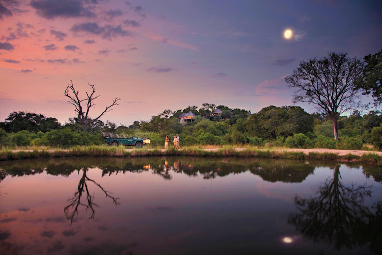 Leopard Hills Lodge eight glass-fronted suites plunge pool African bush Big Five walking safari