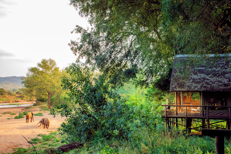 Pafuri Tented Camp Luvuvhu River 19 luxury tents Pel's fishing owl leopard elephants northern Kruger