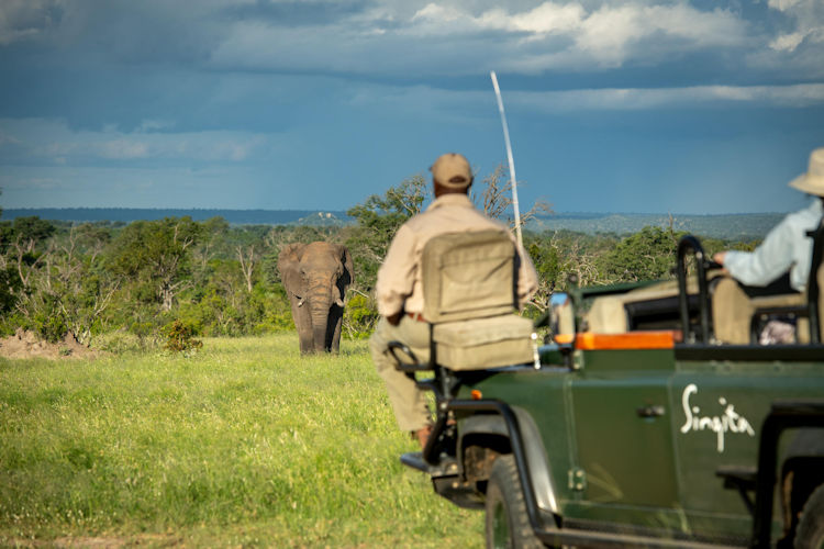 Couple open safari vehicle golden hour elephants waterhole Kruger National Park honeymoon romantic