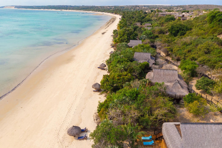Tropical beach white sand turquoise water palm trees honeymoon beach extension Mozambique
