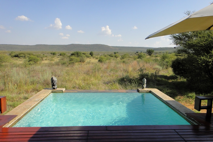 Mateya Safari Lodge Madikwe private suite infinity pool veranda game reserve views North West South Africa