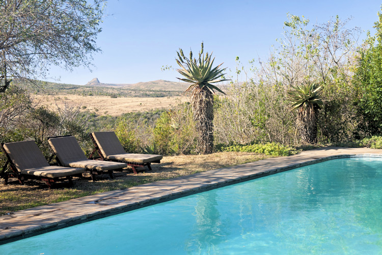 Fugitives Drift Lodge swimming pool manicured gardens Isandlwana Rorke's Drift views Harford Library