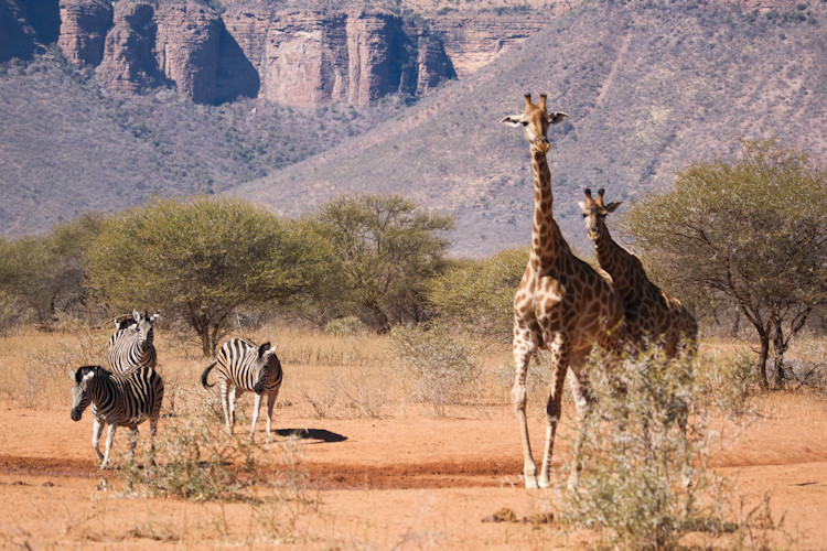 Scenic landscapes Marakele Waterberg Mountains Lenong Viewpoint 2088m cliffs valleys South Africa