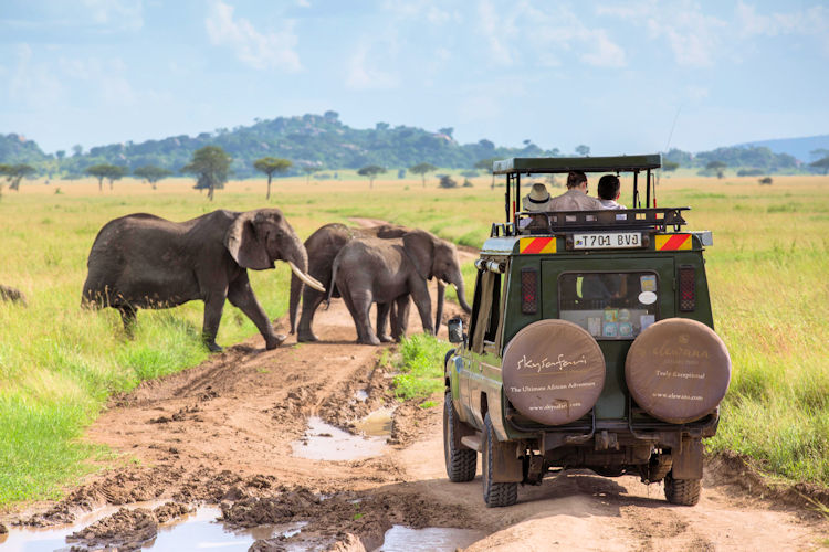 Kids enjoying fun activities on a tanzania family safari in the wild serengeti.