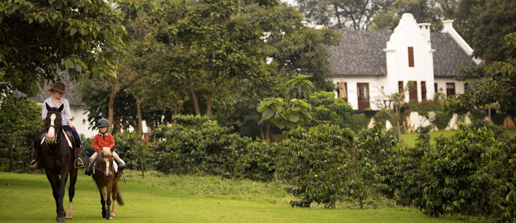 The Manor at Ngorongoro 1500-acre Arabica coffee estate Cape Dutch Elewana 18 suites Tanzania