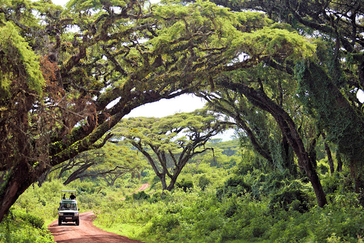 Ngorongoro Crater UNESCO largest unbroken volcanic caldera 30000 mammals Big Five Tanzania