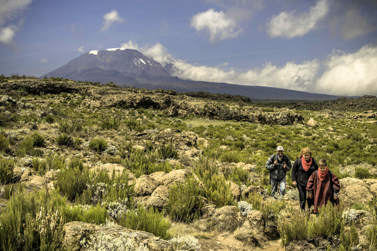 Mount Kilimanjaro 5895m highest free-standing mountain world Uhuru Peak seven routes Tanzania