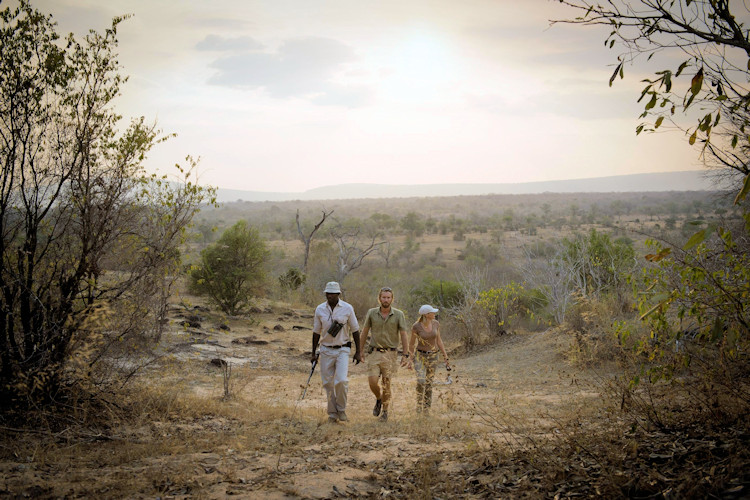 Nyerere National Park 30893km² largest wildlife reserve Africa Rufiji River hippos boat safari Tanzania