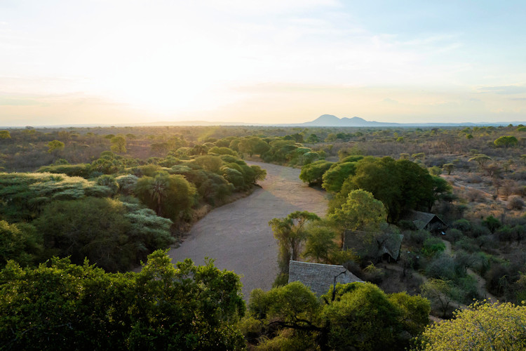 Ruaha National Park Tanzania wilderness jewel 10% Africa lion population baobab trees 12000 elephants