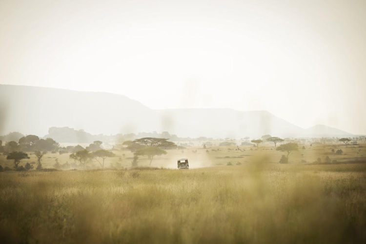 Diverse ecosystems landscapes Serengeti Tanzania acacia woodland riverine forest grassland kopjes