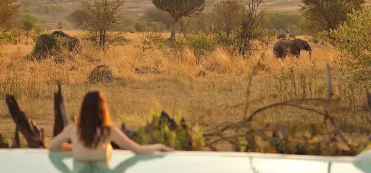Best of Asilia Crater Safari 10 days Tarangire Ngorongoro Serengeti Asilia Africa Tanzania