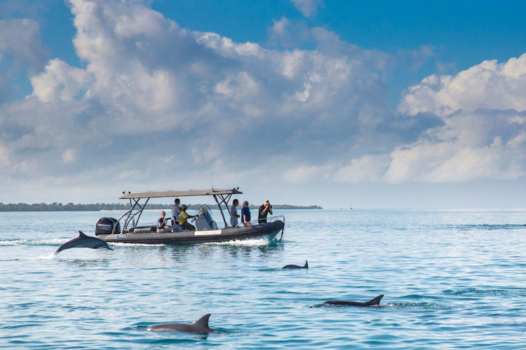 Fundu Lagoon Pemba Island boutique eco-lodge coral reef marine conservation community support Tanzania
