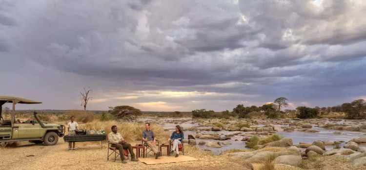 Luxury Tanzania North South Safari 10 days Ngorongoro Serengeti Ruaha fly-in US$9919 Tanzania