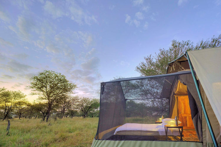 Olakira Migration Camp northern southern Serengeti follows Great Migration calving river crossings Tanzania