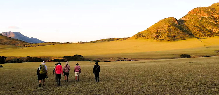 Ngorongoro to Serengeti Walk 9 days walking safari Maasai highlands Gol Mountains Wayo Tanzania
