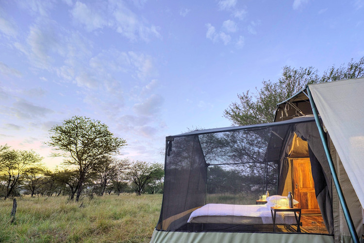 Olakira Migration Camp 9 tents north south Serengeti Great Migration wildebeest zebra Tanzania