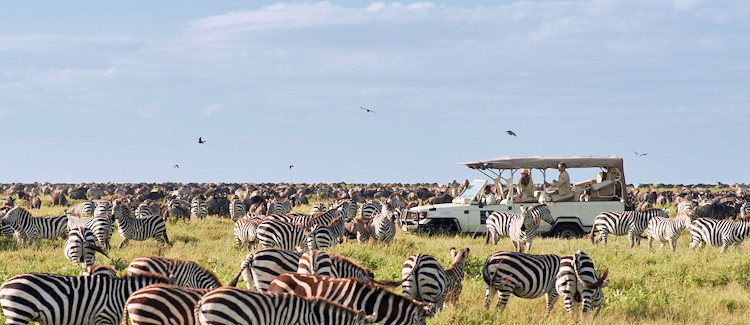 Serengeti Fly-In Express 3 days Sanctuary Kusini Camp southern Serengeti from US$2450 Tanzania
