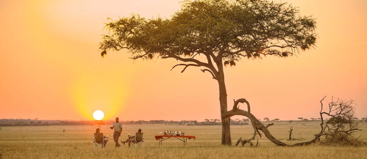 Serengeti National Park Tanzania Great Migration wildebeest lion leopard cheetah bucket list