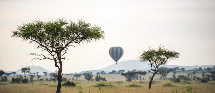Serengeti balloon safari Tanzania hot air balloon dawn wildlife plains Great Migration experience