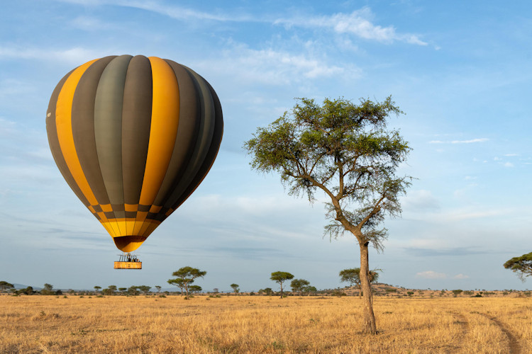 Hot air balloon ride Serengeti Tanzania honeymoon couple champagne breakfast bird's eye view