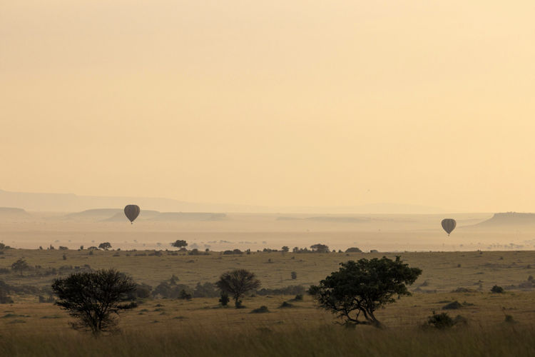 Hot air balloon Serengeti plains sunrise wildebeest herds below Tanzania Great Migration aerial