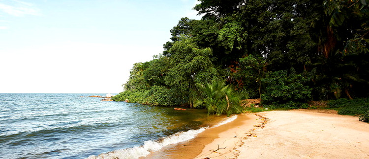 Lake Victoria Tanzania largest lake Africa Rubondo Island chimpanzees sitatunga bucket list