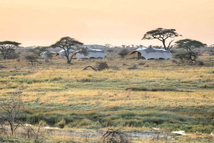 A luxury tented camp in the Namiri Plains, showcasing the beauty of the Serengeti.