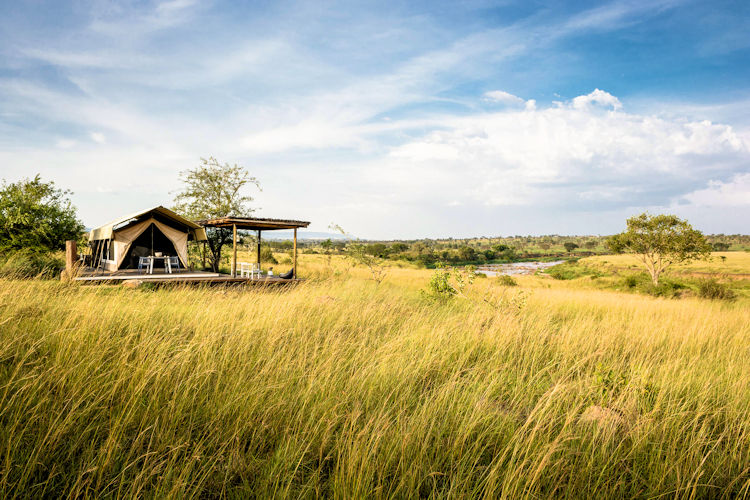 Exclusive wildlife encounters at Singita Mara River Tented Camp.
