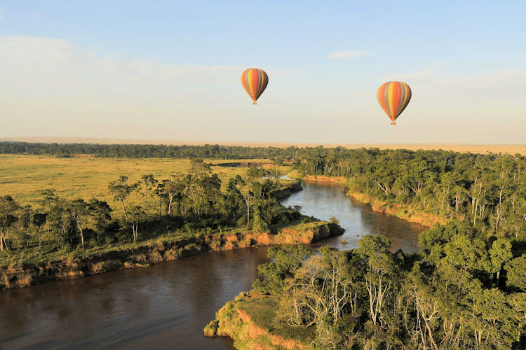 A hot air balloon gracefully floats over the stunning landscapes of the Maasai Mara grasslands at sunrise, casting a warm glow over herds of wildebeest below. This breathtaking scene captures the essence of a perfect Kenya honeymoon safari, offering an unforgettable wildlife experience in East Africa.
