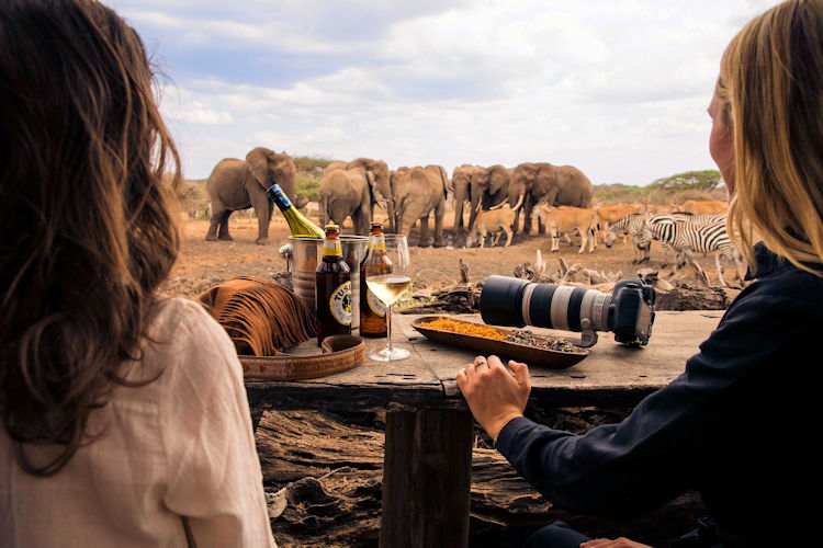 A herd of elephants gracefully walks across the dusty plains of Amboseli National Park, with the majestic snow-capped Mount Kilimanjaro rising in the background, embodying the breathtaking beauty of East Africa and offering a perfect setting for a romantic Kenya honeymoon safari. This scene captures the essence of unforgettable wildlife experiences and stunning landscapes, ideal for honeymooners seeking intimate wildlife encounters.
