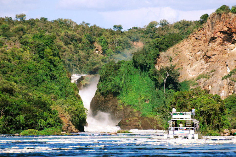 Safari jeep Queen Elizabeth National Park Uganda tree-climbing lions Kazinga Channel game drive