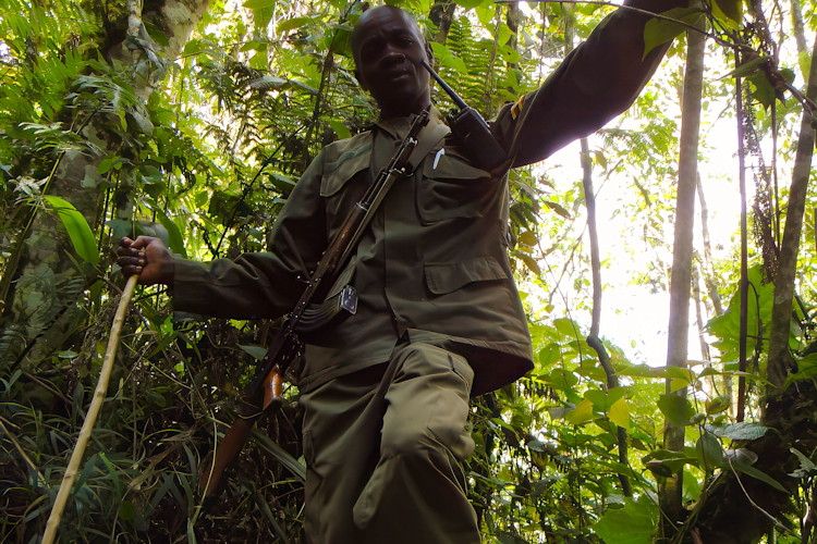Uganda honeymoon paradise lush landscapes romance adventure biodiversity forests savannahs lakes