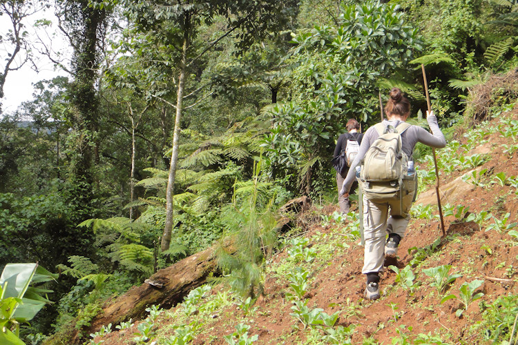 Private boat safari Nile River Uganda honeymoon hippos crocodiles birdlife romantic sunset cruise