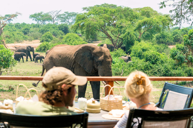 Kazinga Channel boat safari Uganda hippos Nile crocodiles 100 bird species Queen Elizabeth Park