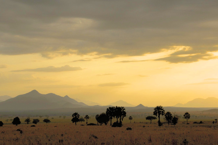 Kidepo Valley National Park Uganda cheetah ostrich aardwolf Narus Valley remote wildlife hidden gem
