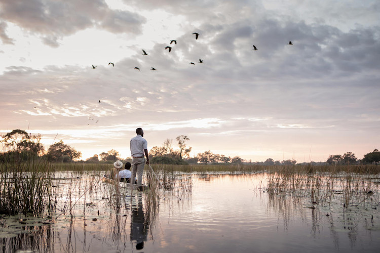 unique-safari-experiences.jpg Unique safari experiences in Okavango Delta