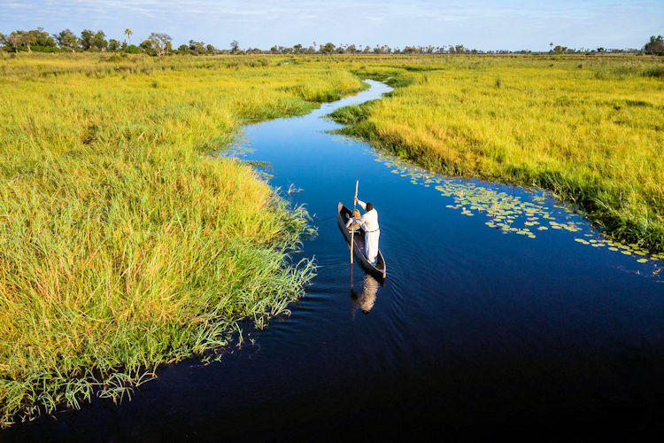 which-is-better-for-safari-tanzania-or-botswana-2.jpg Wildlife viewing opportunities showcasing the diverse fauna of Tanzania and Botswana.
