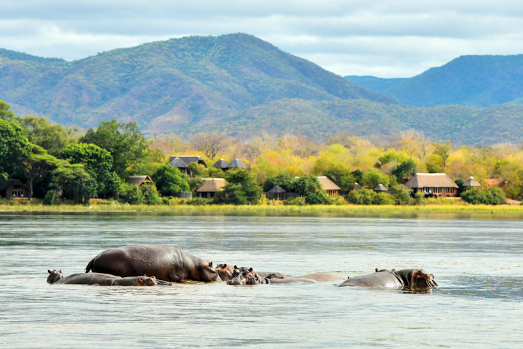 Royal Zambezi Lodge Lower Zambezi canoe Zambezi River Royal Bush Spa walking safari luxury Zambia