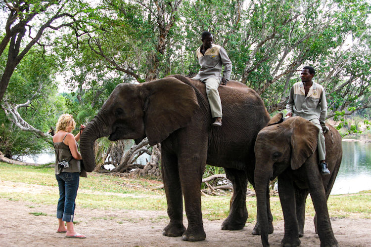 White rhino Mosi-oa-Tunya National Park Livingstone Zambia guided walking safari armed ranger