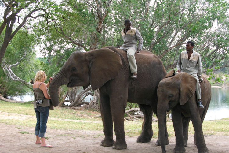 Walking safari Mosi-oa-Tunya National Park Livingstone white rhino elephants giraffes birdwatching Zambia