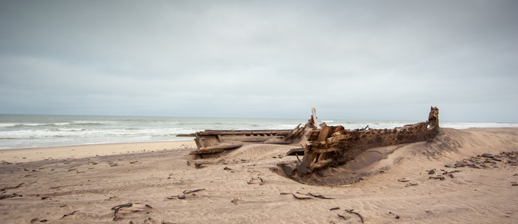 Skeleton Coast Namibia ship graveyard north coast Cape fur seals desert lion brown hyena eerie remote