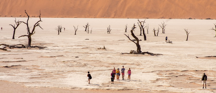 Sossusvlei Namibia Namib Desert red orange dunes Dead Vlei dawn sunrise most photographed Africa