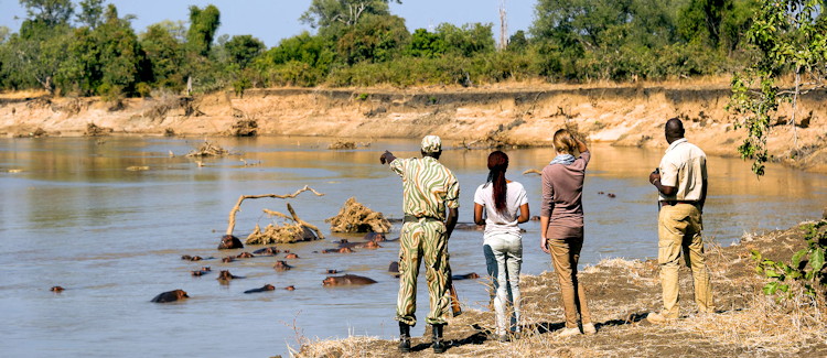 South Luangwa National Park Zambia 9050km² walking safari birthplace Thornicroft giraffe 400 bird species