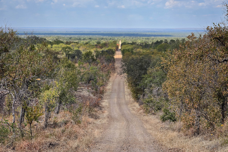 Hwange National Park Zimbabwe Somalisa Expeditions Linkwasha Verney's Camp luxury safari tents