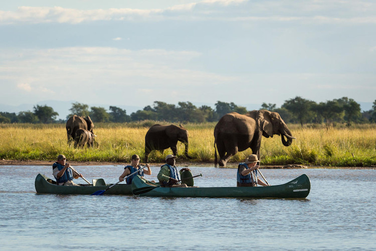 Canoeing Zambezi River Mana Pools National Park hippos crocodiles elephants paddling adventure