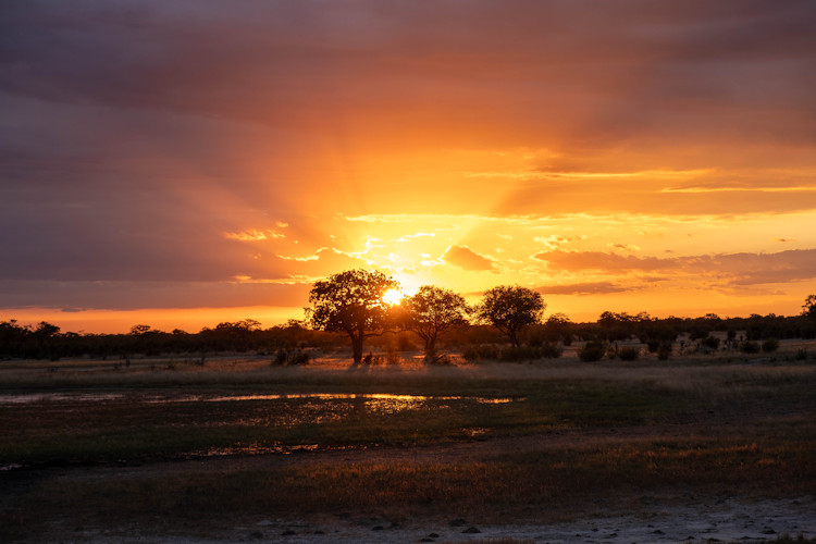 Hwange National Park landscapes Zimbabwe savannah woodlands grasslands rocky formations seasonal wetlands