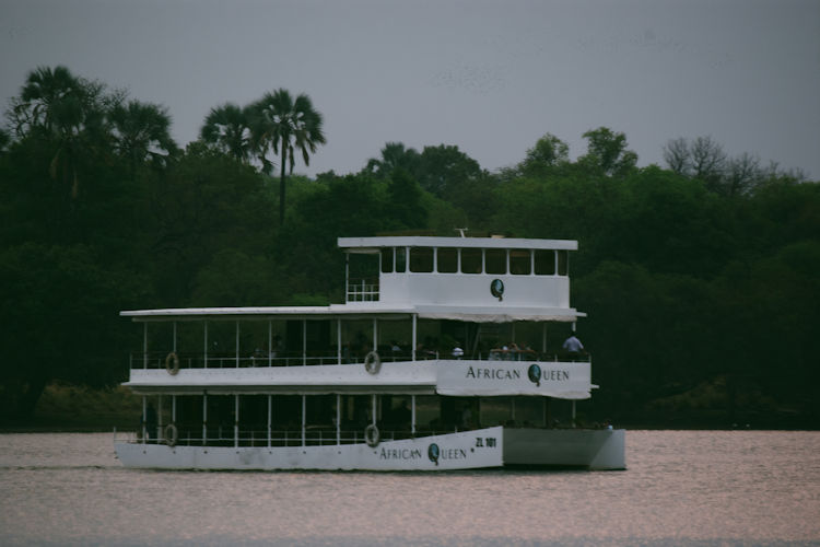 Scenic sunset cruise Zambezi River elephants hippos bird species Pel's Fishing Owl African Pitta