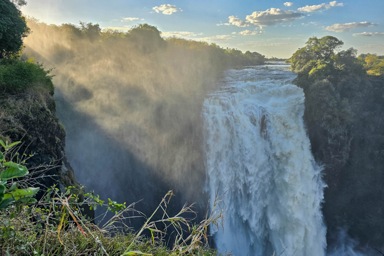 Victoria Falls Rainforest unique ecosystem 70 shrubs 170 floral species mahogany ebony fig trees
